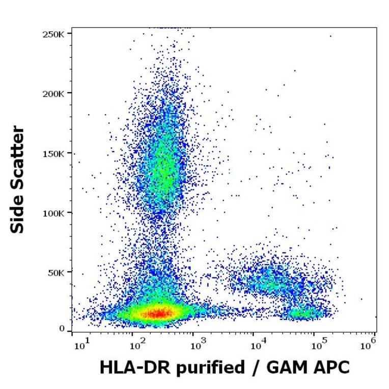 Flow Cytometry - Anti-HLA-DR Antibody [L243] (A86736)