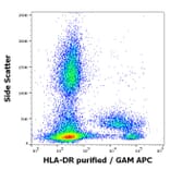 Flow Cytometry - Anti-HLA-DR Antibody [L243] (A86736)