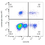 Flow Cytometry - Anti-Human Lambda Light Chain Antibody [1-155-2] (APC) (A86741) - Antibodies.com