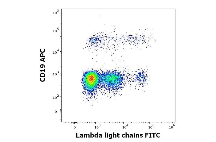Flow Cytometry - Anti-Human Lambda Light Chain Antibody [1-155-2] (FITC) (A86744)
