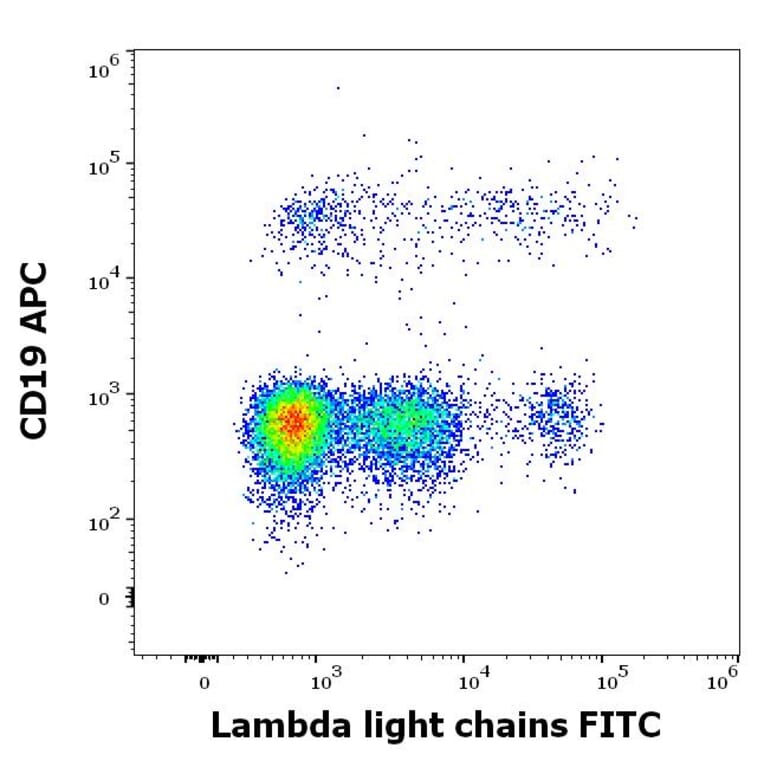 Flow Cytometry - Anti-Human Lambda Light Chain Antibody [1-155-2] (FITC) (A86744)