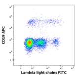 Flow Cytometry - Anti-Human Lambda Light Chain Antibody [1-155-2] (FITC) (A86744)