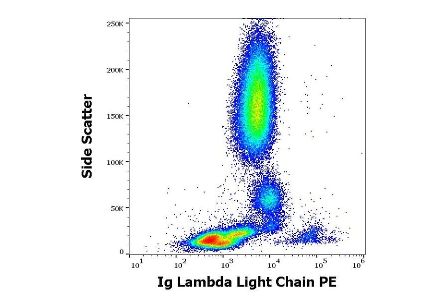 Flow Cytometry - Anti-Human Lambda Light Chain Antibody [1-155-2] (PE) (A86745)
