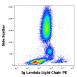 Flow Cytometry - Anti-Human Lambda Light Chain Antibody [1-155-2] (PE) (A86745)