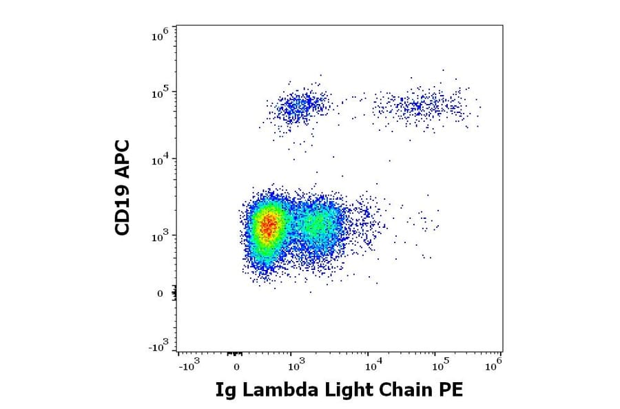 Flow Cytometry - Anti-Human Lambda Light Chain Antibody [1-155-2] (PE) (A86745)