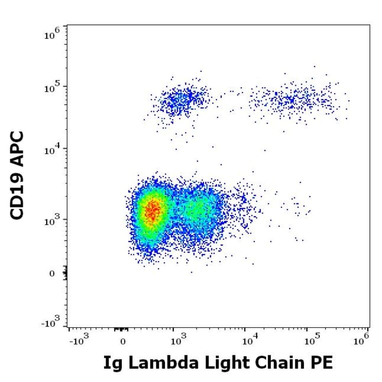 Flow Cytometry - Anti-Human Lambda Light Chain Antibody [1-155-2] (PE) (A86745)