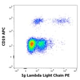 Flow Cytometry - Anti-Human Lambda Light Chain Antibody [1-155-2] (PE) (A86745)