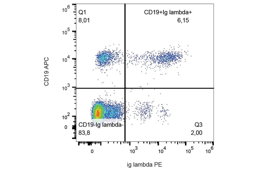 Flow Cytometry - Anti-Human Lambda Light Chain Antibody [1-155-2] (PE) (A86743) - Antibodies.com