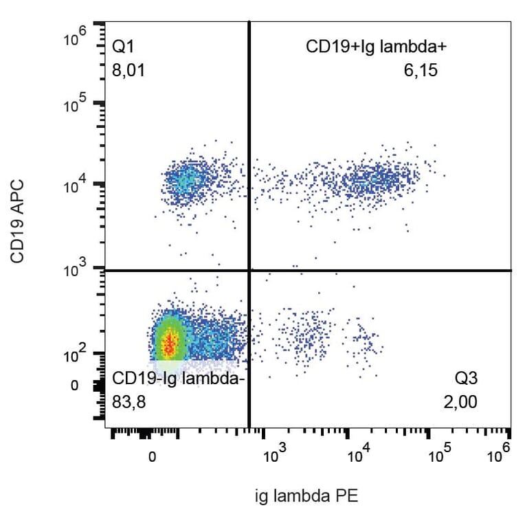 Flow Cytometry - Anti-Human Lambda Light Chain Antibody [1-155-2] (PE) (A86743) - Antibodies.com
