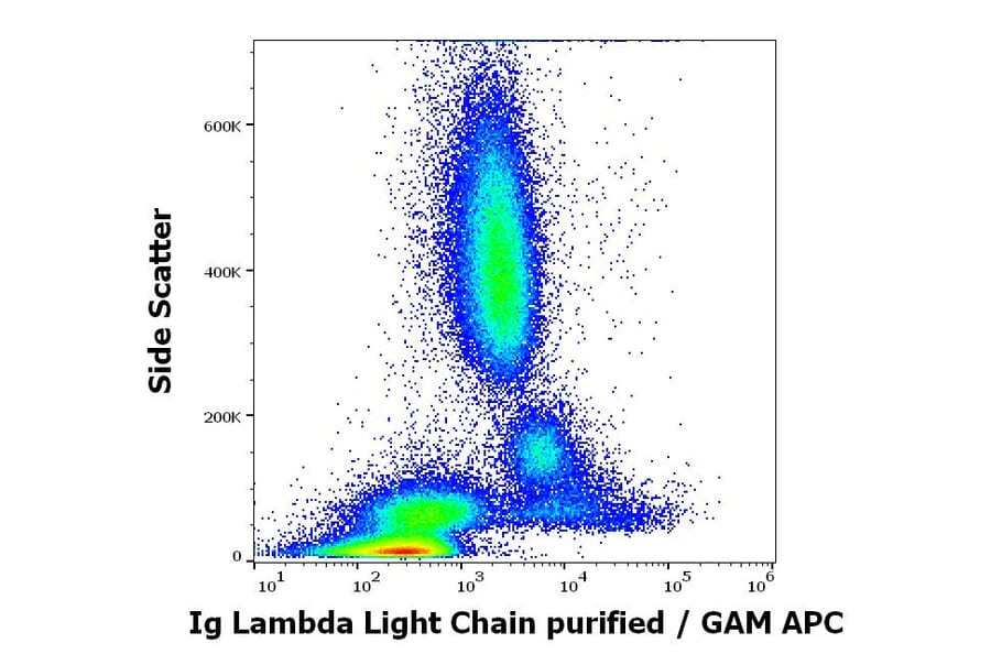 Flow Cytometry - Anti-Human Lambda Light Chain Antibody [1-155-2] (A86746)