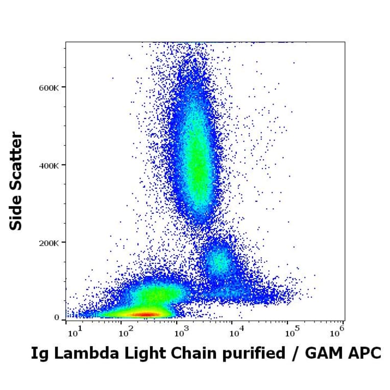 Flow Cytometry - Anti-Human Lambda Light Chain Antibody [1-155-2] (A86746)