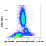 Flow Cytometry - Anti-Human Lambda Light Chain Antibody [1-155-2] (A86746)