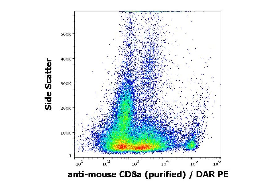 Flow Cytometry - Anti-CD8 alpha Antibody [53-6.7] (A86749)