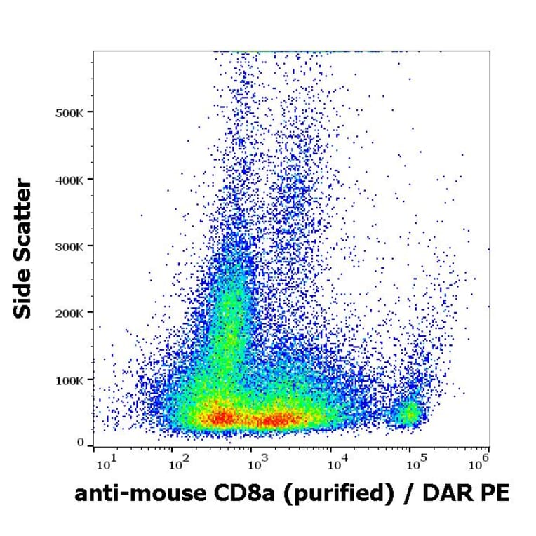 Flow Cytometry - Anti-CD8 alpha Antibody [53-6.7] (A86749)