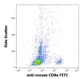 Flow Cytometry - Anti-CD8 alpha Antibody [53-6.7] (FITC) (A86751)