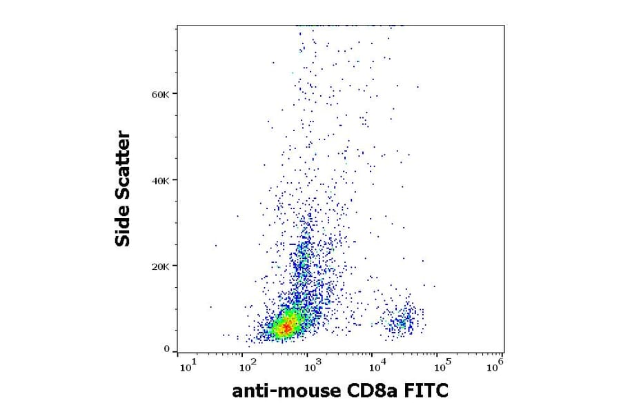 Flow Cytometry - Anti-CD8 alpha Antibody [53-6.7] (FITC) (A86751)