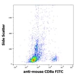 Flow Cytometry - Anti-CD8 alpha Antibody [53-6.7] (FITC) (A86751)