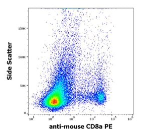 Flow Cytometry - Anti-CD8 alpha Antibody [53-6.7] (PE) (A86752)