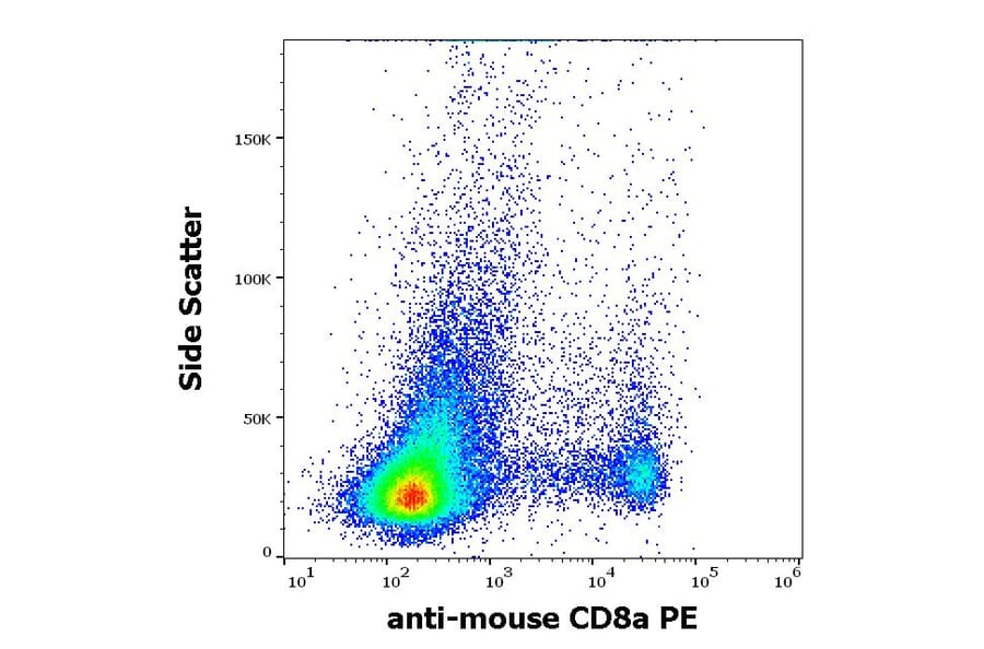 Flow Cytometry - Anti-CD8 alpha Antibody [53-6.7] (PE) (A86752)
