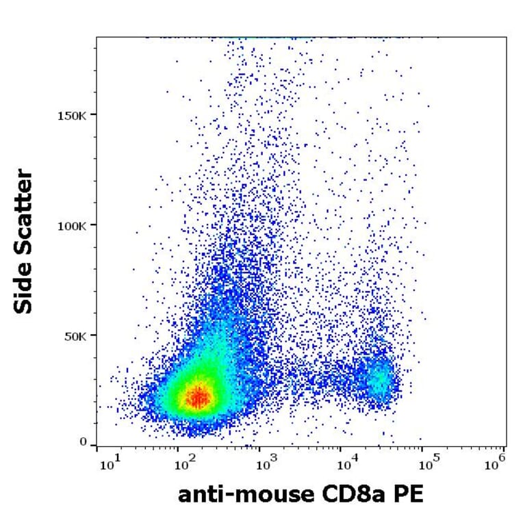 Flow Cytometry - Anti-CD8 alpha Antibody [53-6.7] (PE) (A86752)
