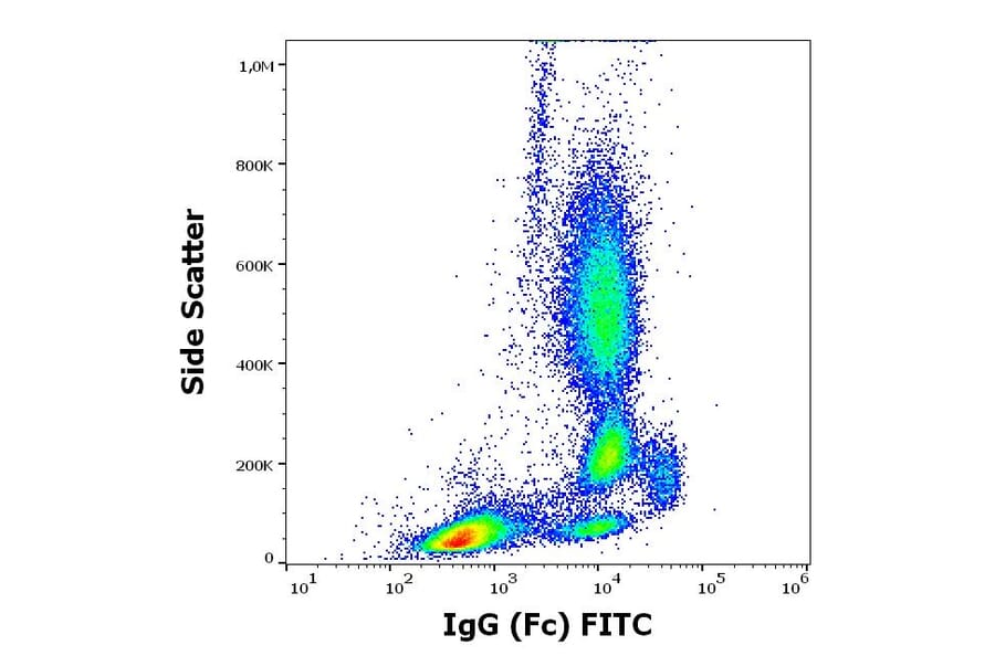 Flow Cytometry - Anti-Human IgG Fc Antibody [EM-07] (FITC) (A86764)