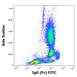Flow Cytometry - Anti-Human IgG Fc Antibody [EM-07] (FITC) (A86764)