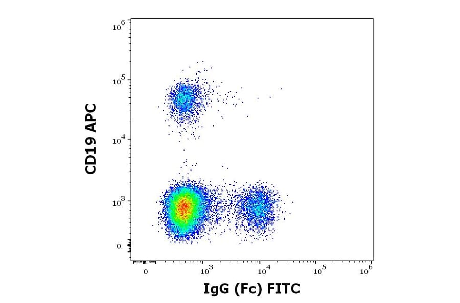 Flow Cytometry - Anti-Human IgG Fc Antibody [EM-07] (FITC) (A86764)