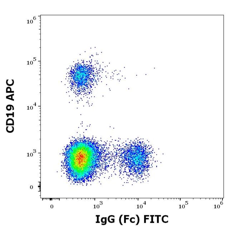 Flow Cytometry - Anti-Human IgG Fc Antibody [EM-07] (FITC) (A86764)