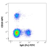 Flow Cytometry - Anti-Human IgG Fc Antibody [EM-07] (FITC) (A86764)