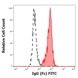 Flow Cytometry - Anti-Human IgG Fc Antibody [EM-07] (FITC) (A86764)