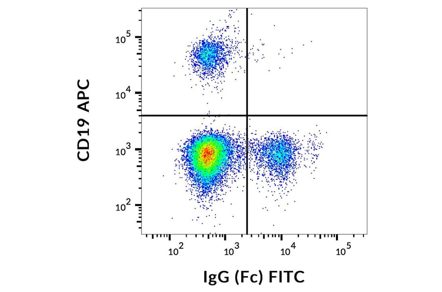 Flow Cytometry - Anti-Human IgG Fc Antibody [EM-07] (FITC) (A86764)