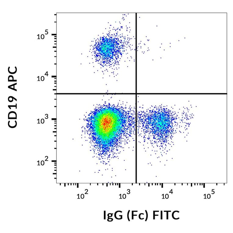 Flow Cytometry - Anti-Human IgG Fc Antibody [EM-07] (FITC) (A86764)