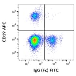 Flow Cytometry - Anti-Human IgG Fc Antibody [EM-07] (FITC) (A86764)