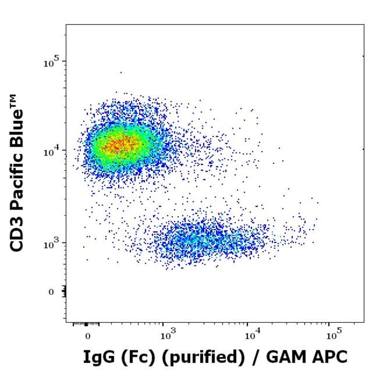 Flow Cytometry - Anti-Human IgG Fc Antibody [EM-07] (A86766)