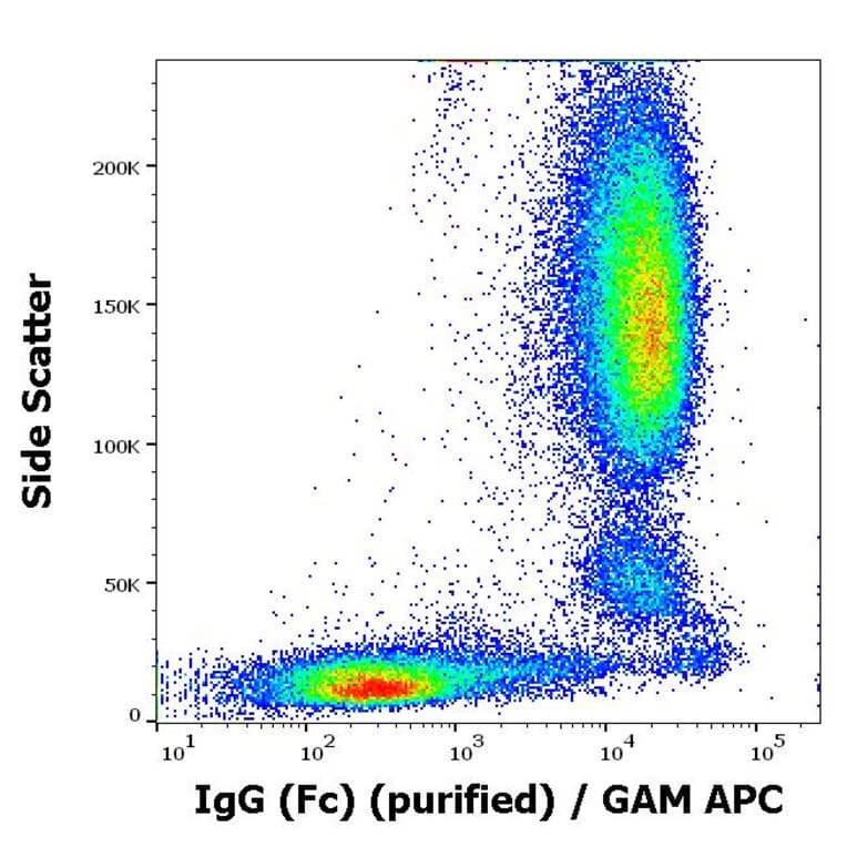 Flow Cytometry - Anti-Human IgG Fc Antibody [EM-07] (A86766)