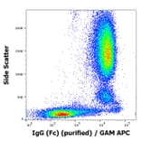 Flow Cytometry - Anti-Human IgG Fc Antibody [EM-07] (A86766)