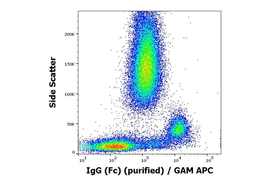 Flow Cytometry - Anti-Human IgG Fc Antibody [EM-07] (A86766)