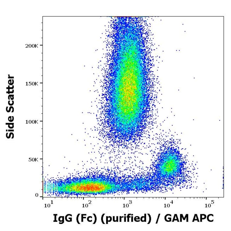 Flow Cytometry - Anti-Human IgG Fc Antibody [EM-07] (A86766)