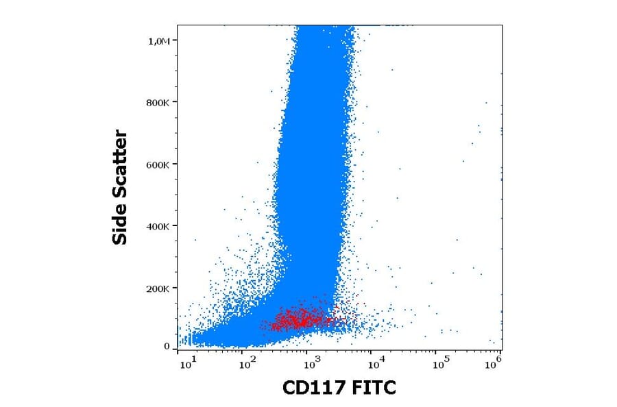 Flow Cytometry - Anti-c-Kit Antibody [104D2] (FITC) (A86770)