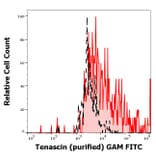 Flow Cytometry - Anti-Tenascin C Antibody [T2H5] (A86776)