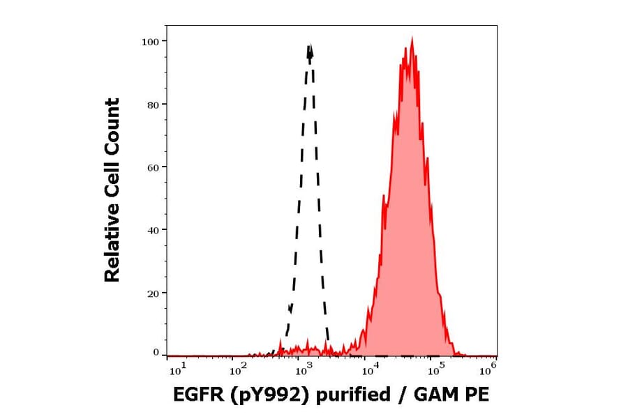 Flow Cytometry - Anti-EGFR (phospho Y1173) Antibody [EM-13] (A86778)