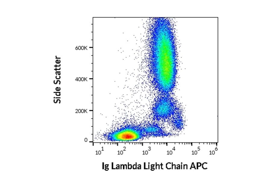 Flow Cytometry - Anti-Human Lambda Light Chain Antibody [4C2] (APC) (A86781)