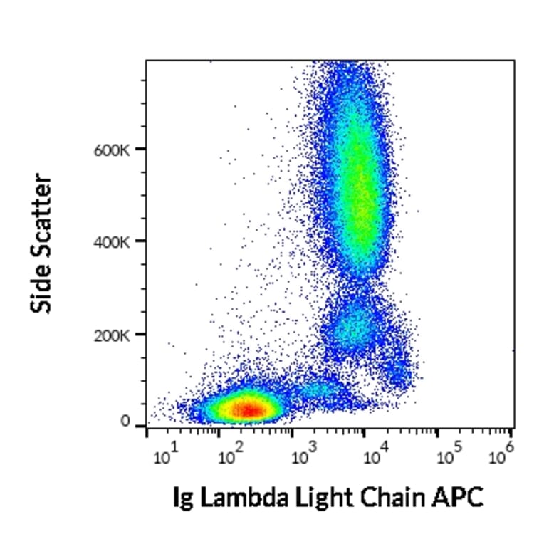 Flow Cytometry - Anti-Human Lambda Light Chain Antibody [4C2] (APC) (A86781)