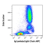 Flow Cytometry - Anti-Human Lambda Light Chain Antibody [4C2] (APC) (A86781)