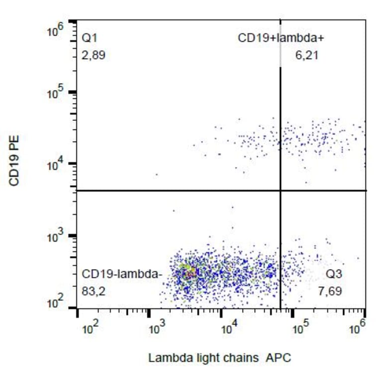 Flow Cytometry - Anti-Human Lambda Light Chain Antibody [4C2] (APC) (A86781)
