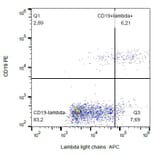 Flow Cytometry - Anti-Human Lambda Light Chain Antibody [4C2] (APC) (A86780) - Antibodies.com