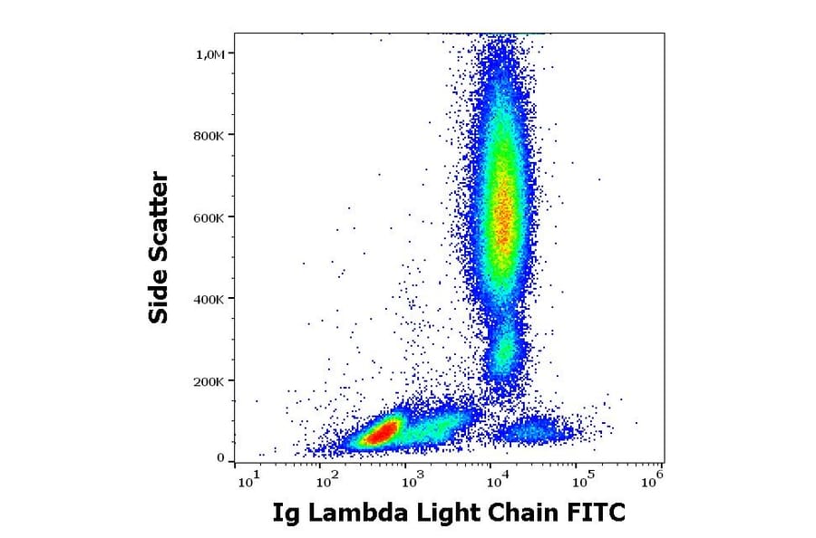 Flow Cytometry - Anti-Human Lambda Light Chain Antibody [4C2] (FITC) (A86782)
