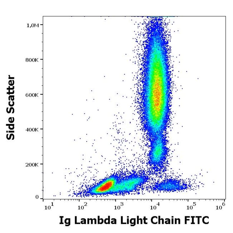 Flow Cytometry - Anti-Human Lambda Light Chain Antibody [4C2] (FITC) (A86782)