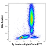 Flow Cytometry - Anti-Human Lambda Light Chain Antibody [4C2] (FITC) (A86782)