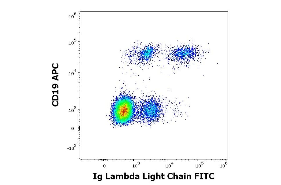 Flow Cytometry - Anti-Human Lambda Light Chain Antibody [4C2] (FITC) (A86782)